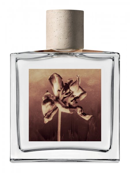 MoniQue Cosmetique - AllSaints Sunset Riot Eau de Parfum 100 ml hier kaufen